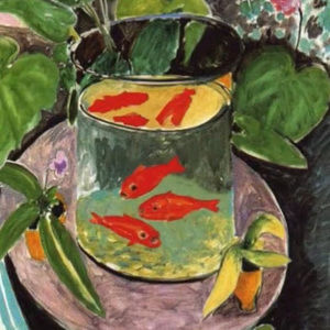 Meet your Posher, Kaia